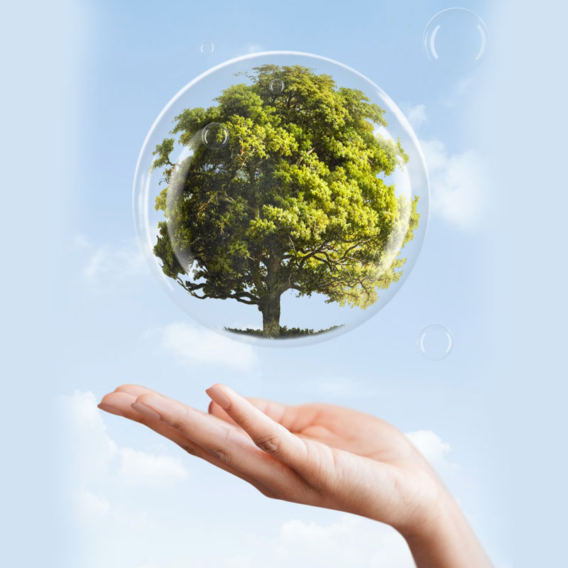 Sustainability-Responsibility